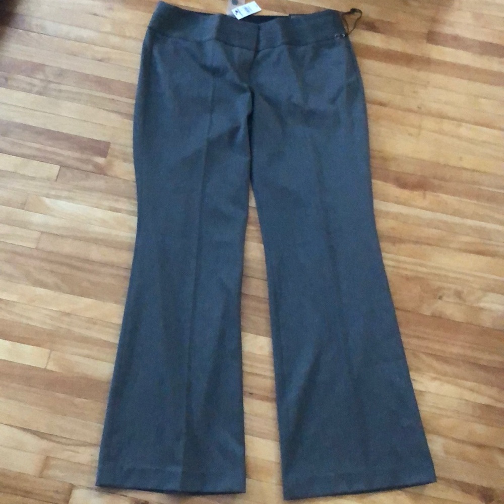 NWT Express Editor Gray Flare 12